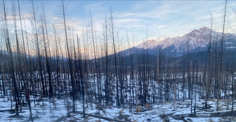 Jasper, Alberta, Canada. Image © PlanetSKI
